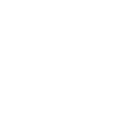 1-LLM