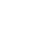 2-LLM